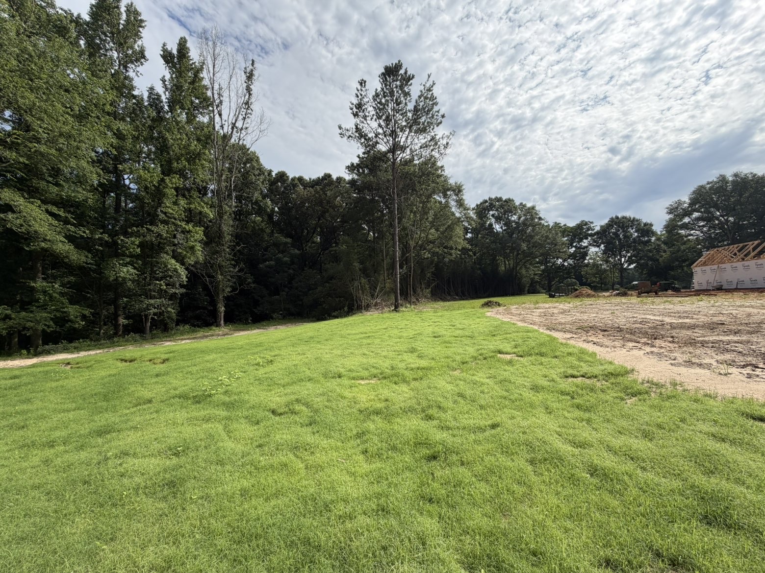 The same lot with a full green established lawn beside the treeline