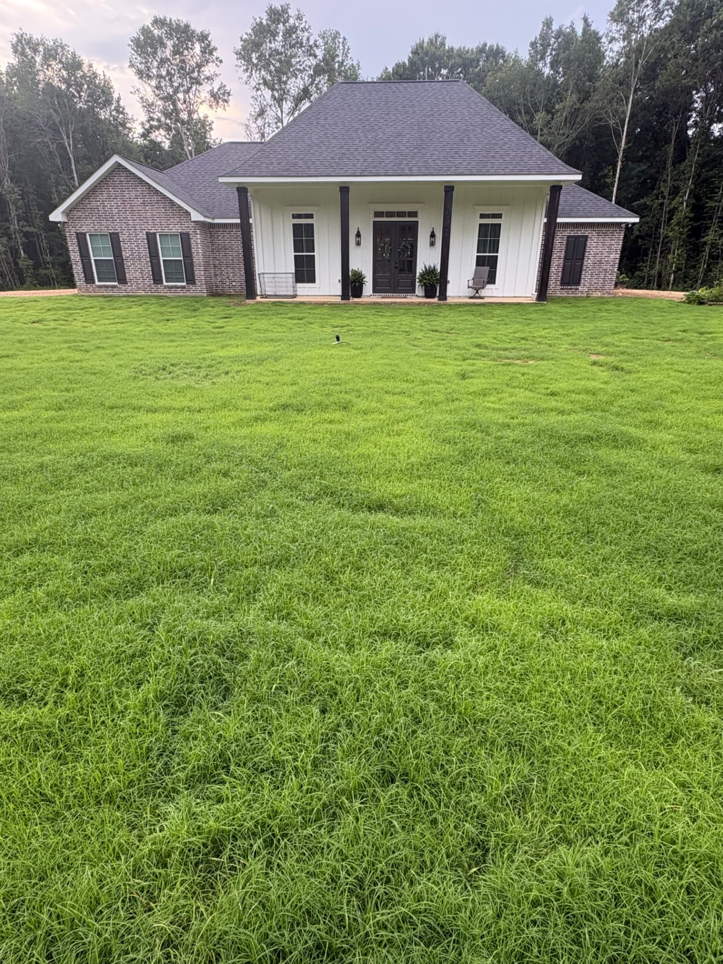 The same Mississippi yard with a thick established green lawn after hydroseeding